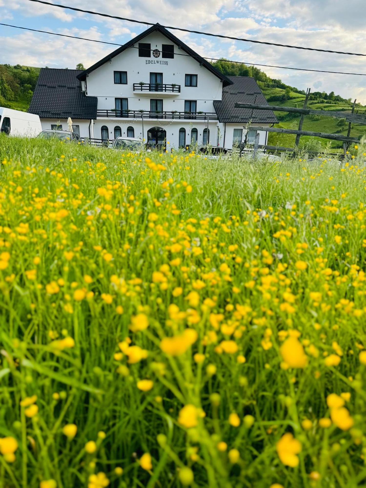 Evenimente Edelweiss Hotel Bogdan Voda Ngoại thất bức ảnh